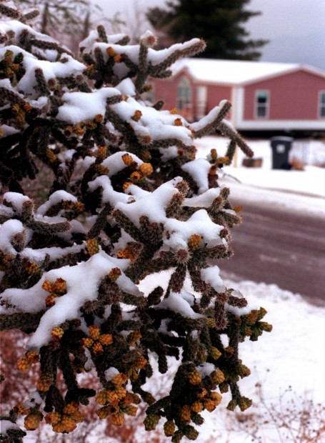 What snow means to Tucson